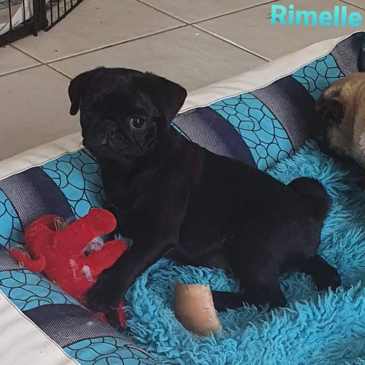 101400140 586273028973110 8028088445173760000 n