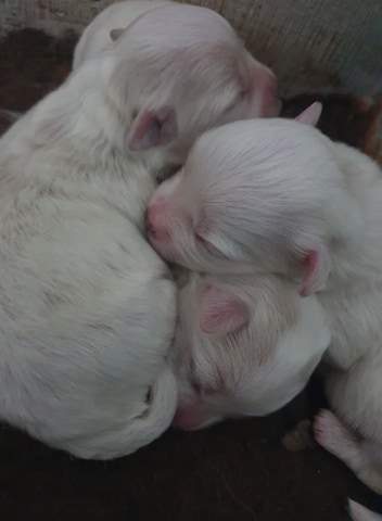 123721774 809643153209999 8135142352903335970 n