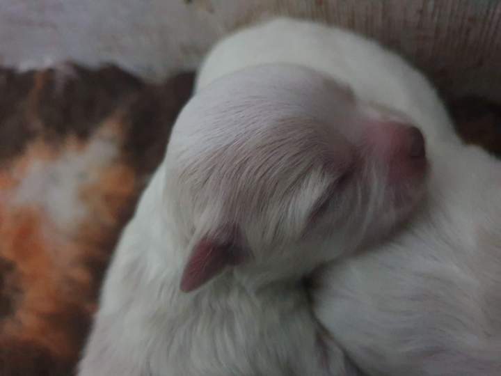 123830728 2759575820950117 2683747367293390141 n