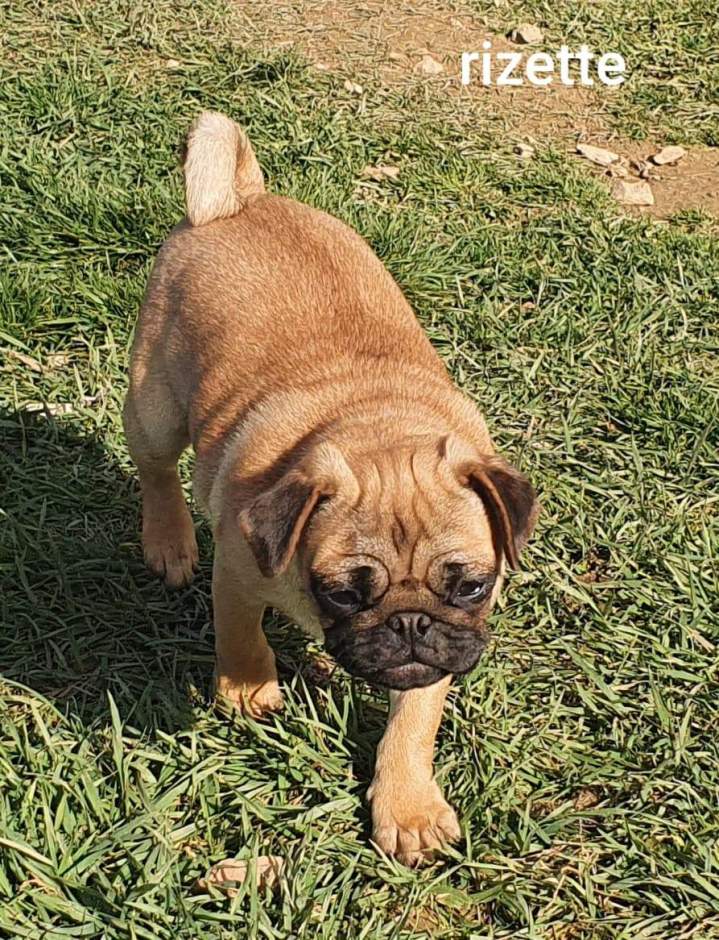 157496053 1816914478483316 5765212264018910312 n