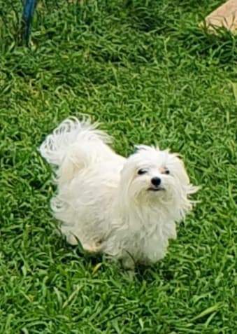 186283903 1182651072176361 7399507944613410275 n