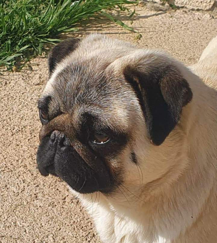 186374671 455741942393397 456914465992774645 n