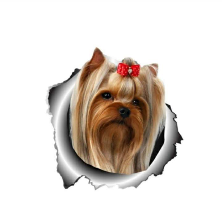 186551824 377473976910917 9188300527295067984 n