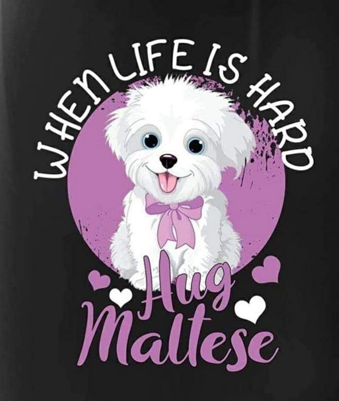 186918440 506916017013587 5588690618553650397 n