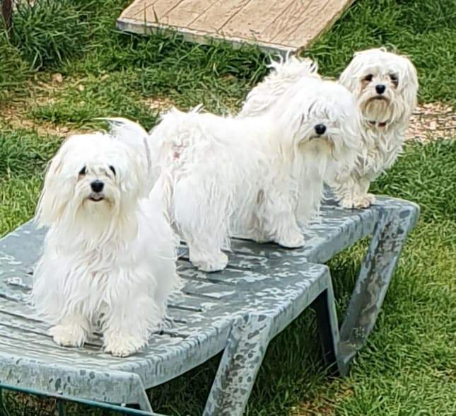 187666211 163675345606584 229122103078019796 n