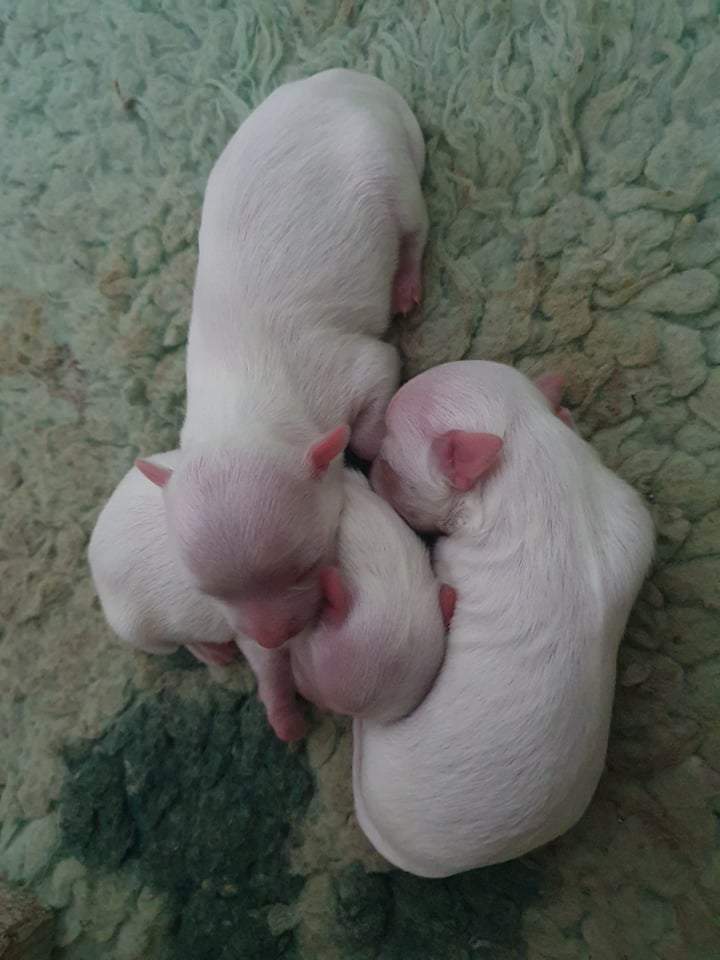 244573626 450032993071617 671578012565892884 n