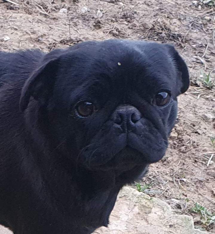 259441486 632055271238918 1173508769750568392 n