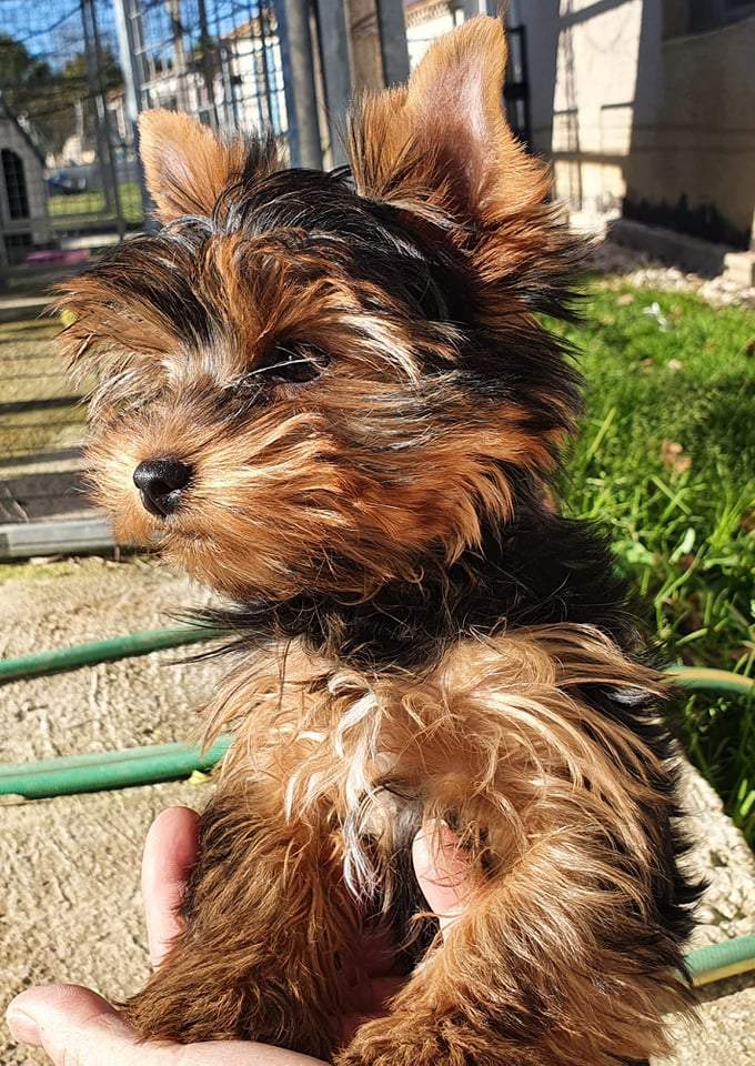 262457999 305549761432079 4728646100400802382 n