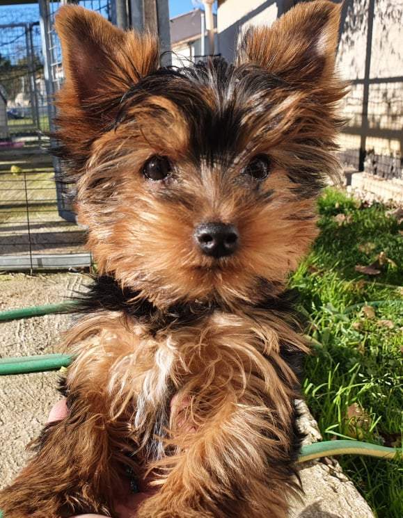 262515228 628137944991723 119929884138581705 n