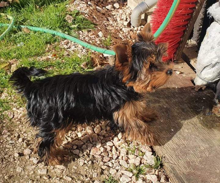 263056017 270466715123412 5436607977010665555 n