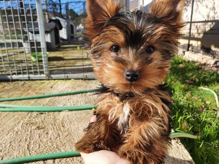 263144240 1751238595070503 3791567661729060798 n