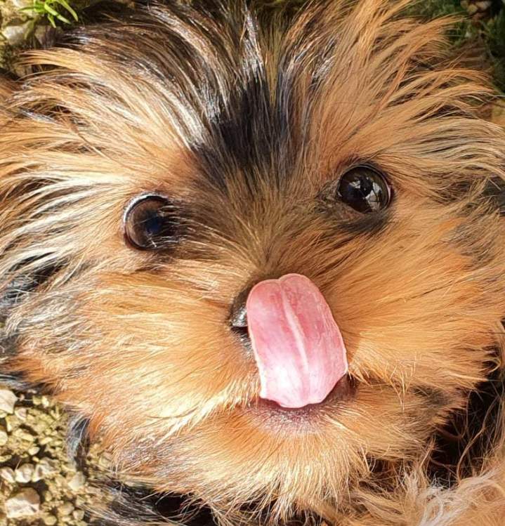 263184949 443213693850683 2814802538714466190 n