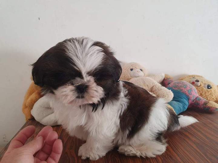 263648257 631890874625623 2673877770949492978 n