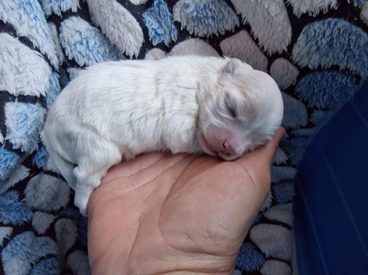 277796640 357412836427190 5775040806537741442 n