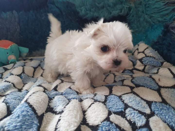 279363745 1188036988667442 1886852252516656366 n