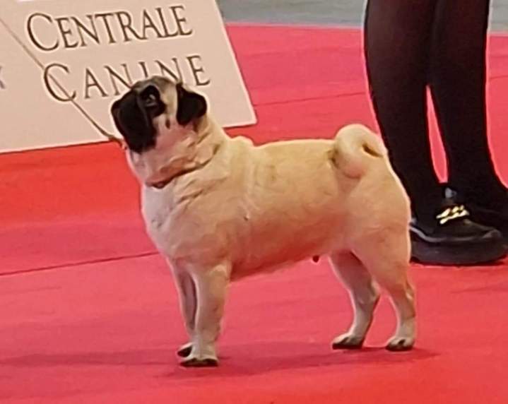 279432033 5249952331714272 660559869415211001 n