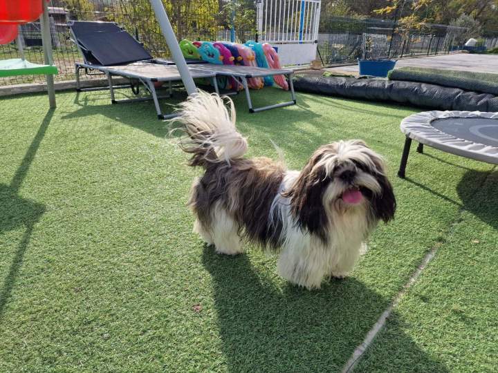 317152671 555700006333743 7006142252351071408 n