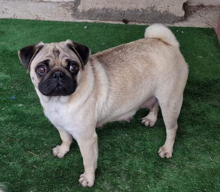 318876705 588741679724765 7344436335444221811 n