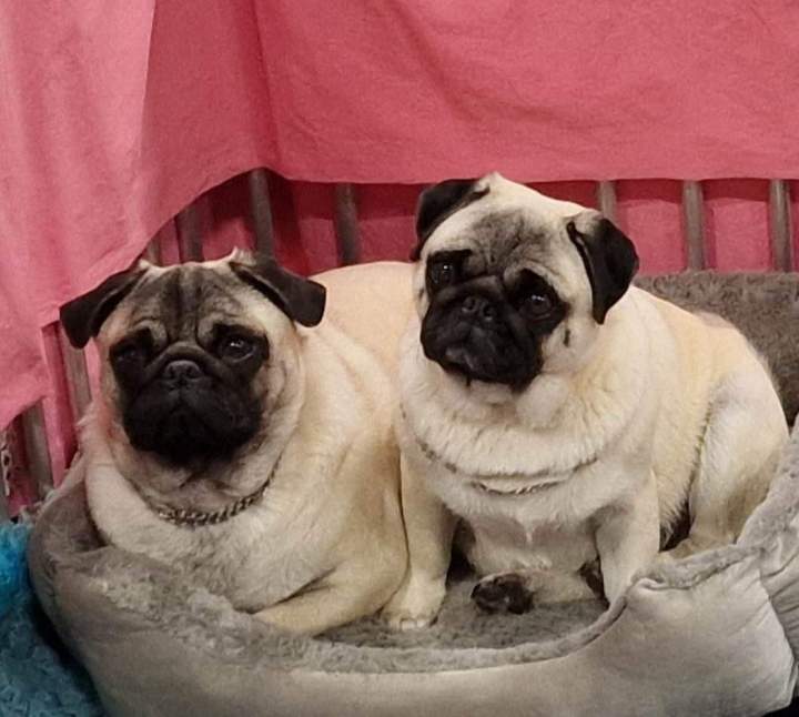 319377092 893610518647730 6780619675232205372 n