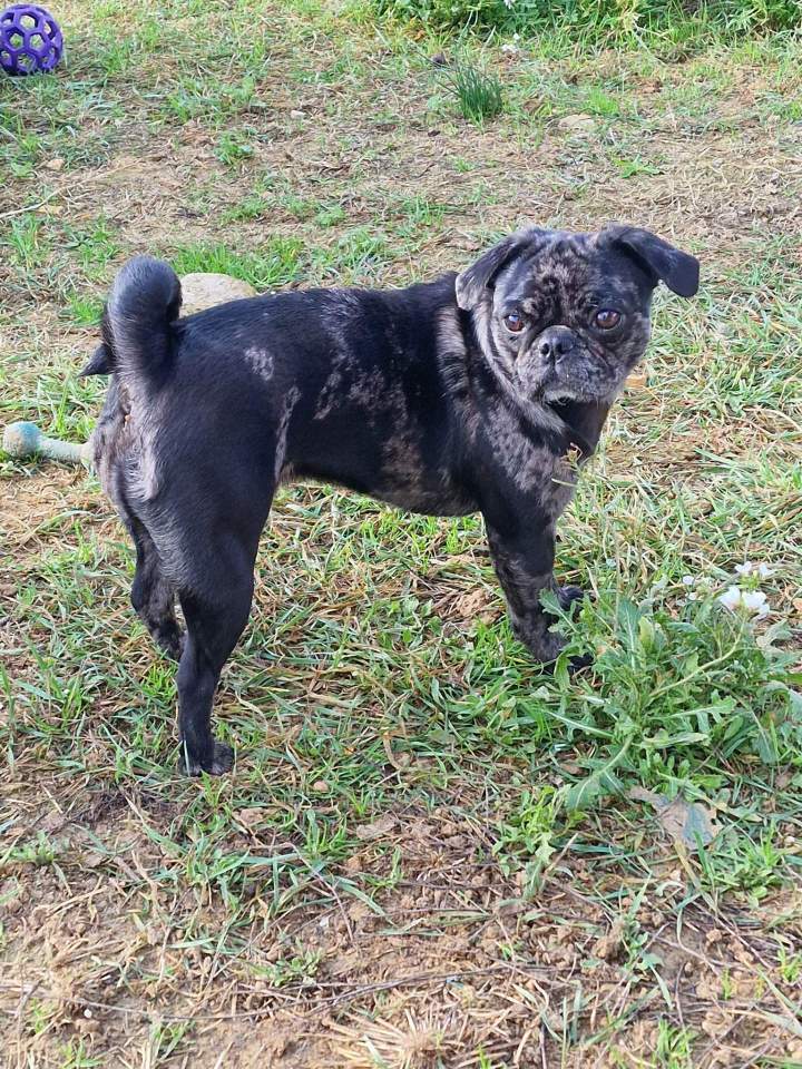 322667420 1832306080459570 780010667759871574 n