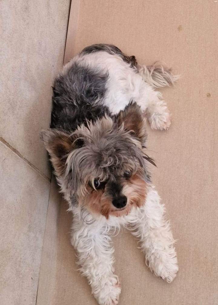 332376816 1380736789385195 8786201764018269359 n