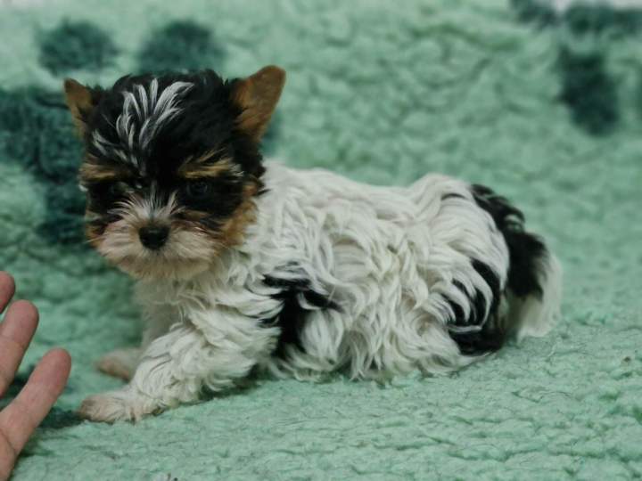 336774275 214026274636572 7339751795033715646 n