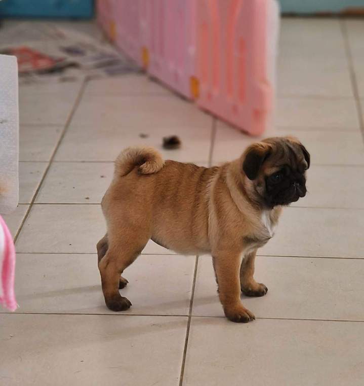 341307748 178768311707947 481252584082133319 n