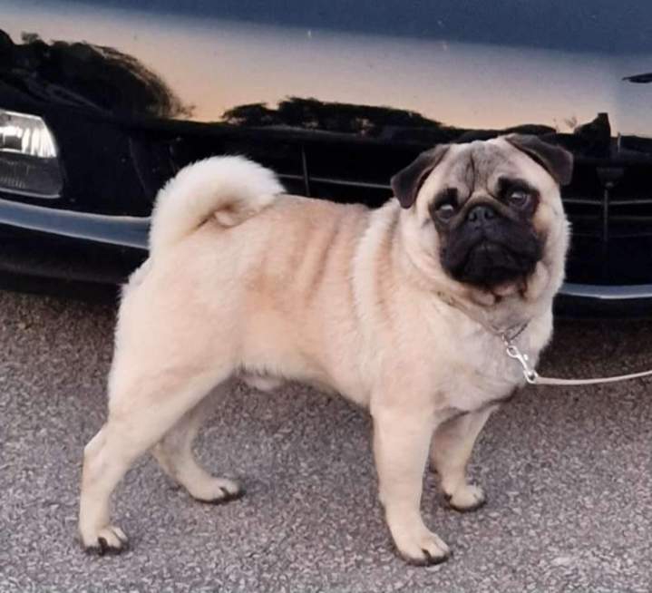 363821246 306794735118228 1823365907992798144 n