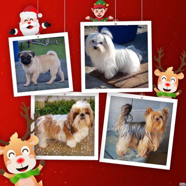 Carlins Occitanie farm