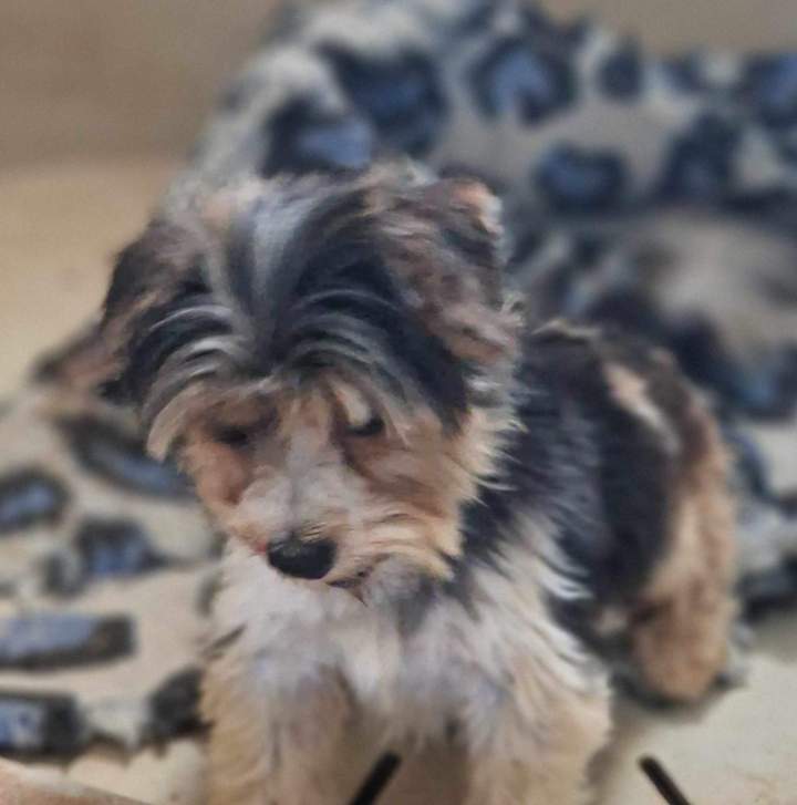 448985725 1668511833906234 4774508187139162627 n