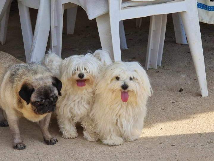 449238474 3723971214483222 2058734297167376861 n