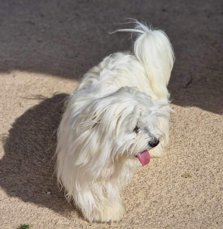 449343173 885948500238145 8151005133360707442 n