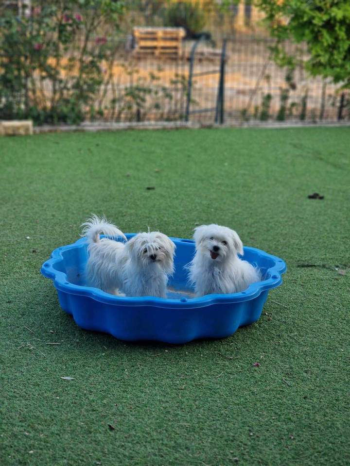 453140382 3487126528245910 1603466201767569827 n