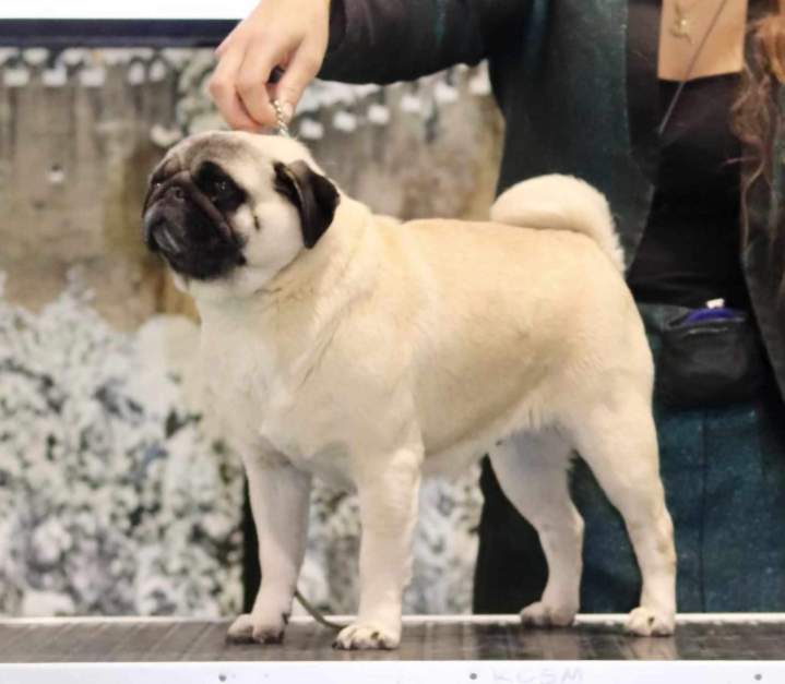 465241243 1262874938164848 7239037500622304936 n