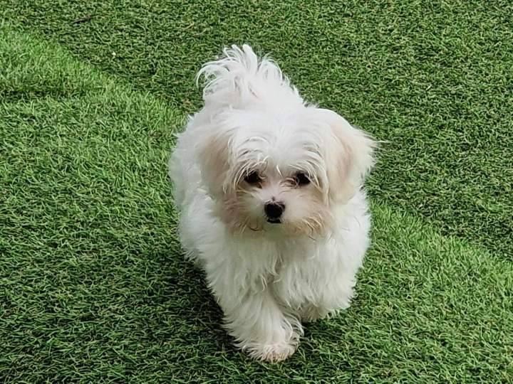 467462278 1489931185017288 8708723642780172493 n