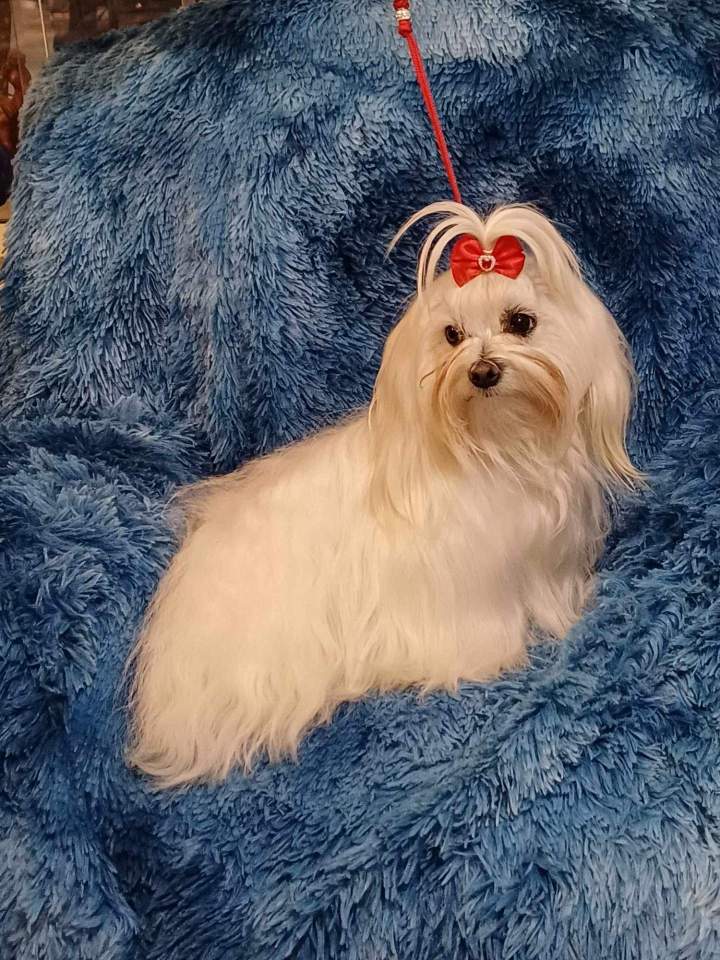 476052830 1763821997524310 2640092142475741552 n