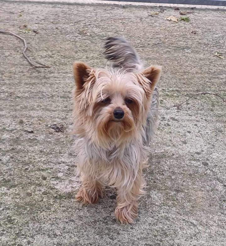 476154984 1143307710803262 6450341480778854233 n