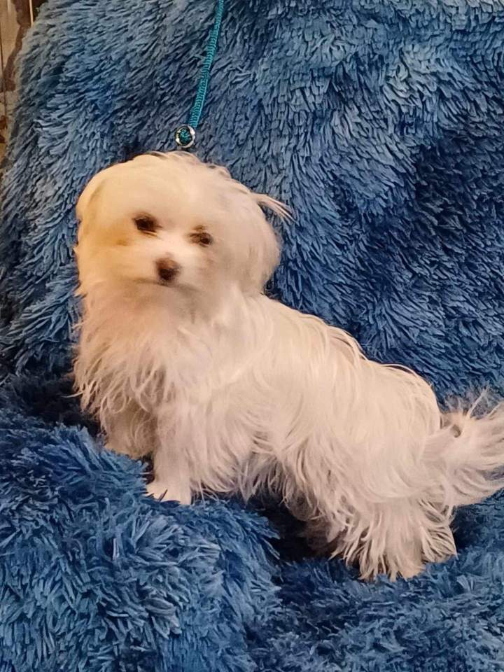 476375237 1775793622963326 2124217047686153760 n