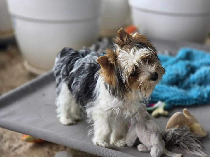 482175289 504501882437029 8816260404611221702 n