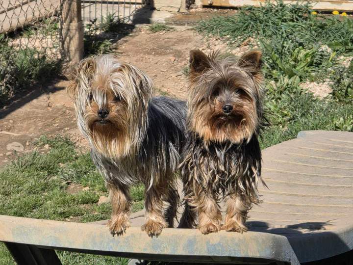 482356402 972082308357352 2516313550277311918 n