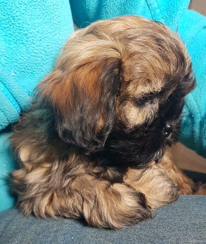 48426632 322943188312119 1351884657708236800 n