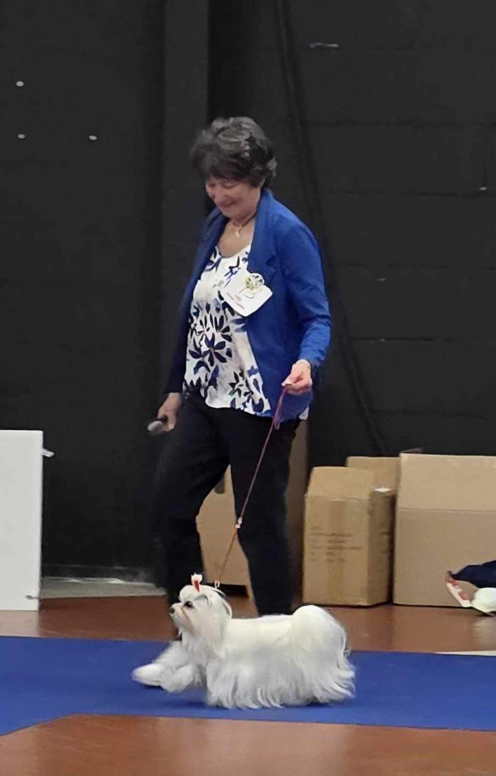 488790828 9924594484238666 1754901850722219958 n