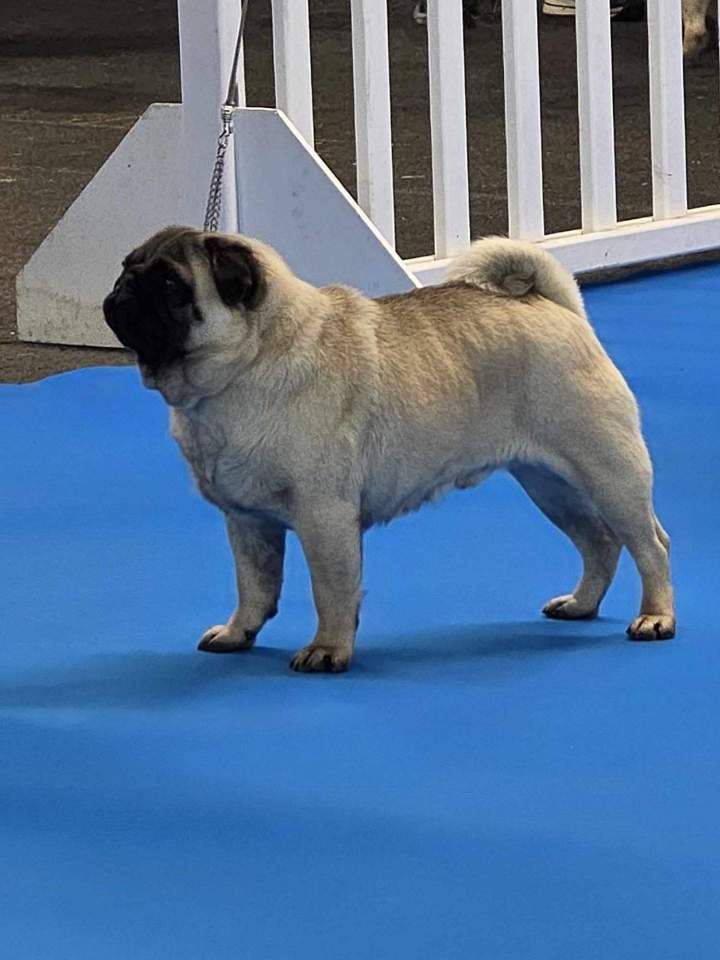 489498799 955719710055658 1898171678235674664 n