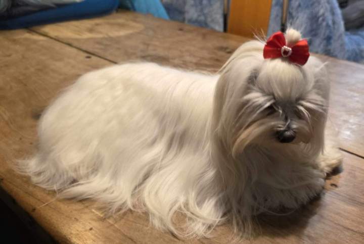 489529125 974381881532704 9006590772790601986 n