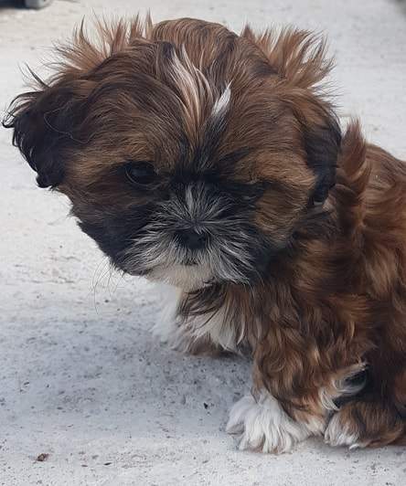 61324012 319482565667580 3905642464966344704 n