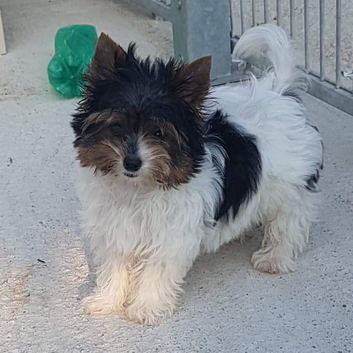 69208892 482654728987232 21972082023727104 n