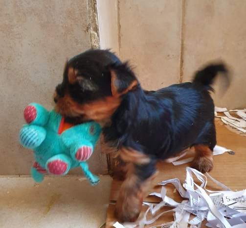 75392751 548625145901758 2211608755269795840 n