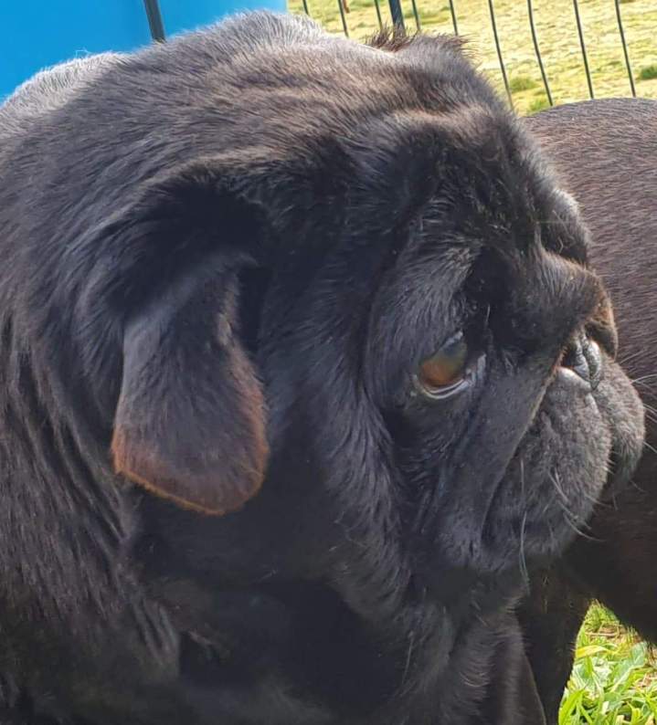 85203821 554402618488914 1492924159573884928 n