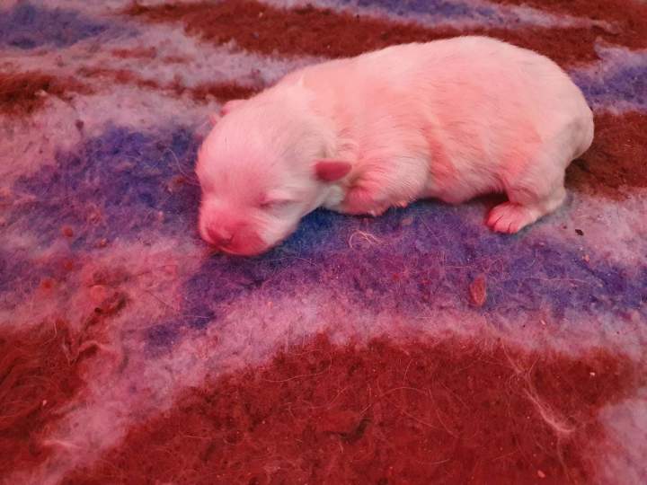 92626533 233221028044271 5170216179918176256 n