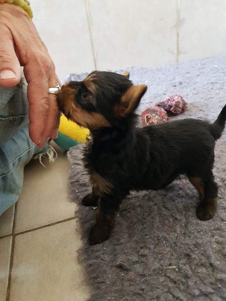 34507493 1878045958925937 6403009627960639488 n